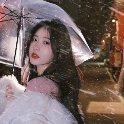 狗狗圣诞节